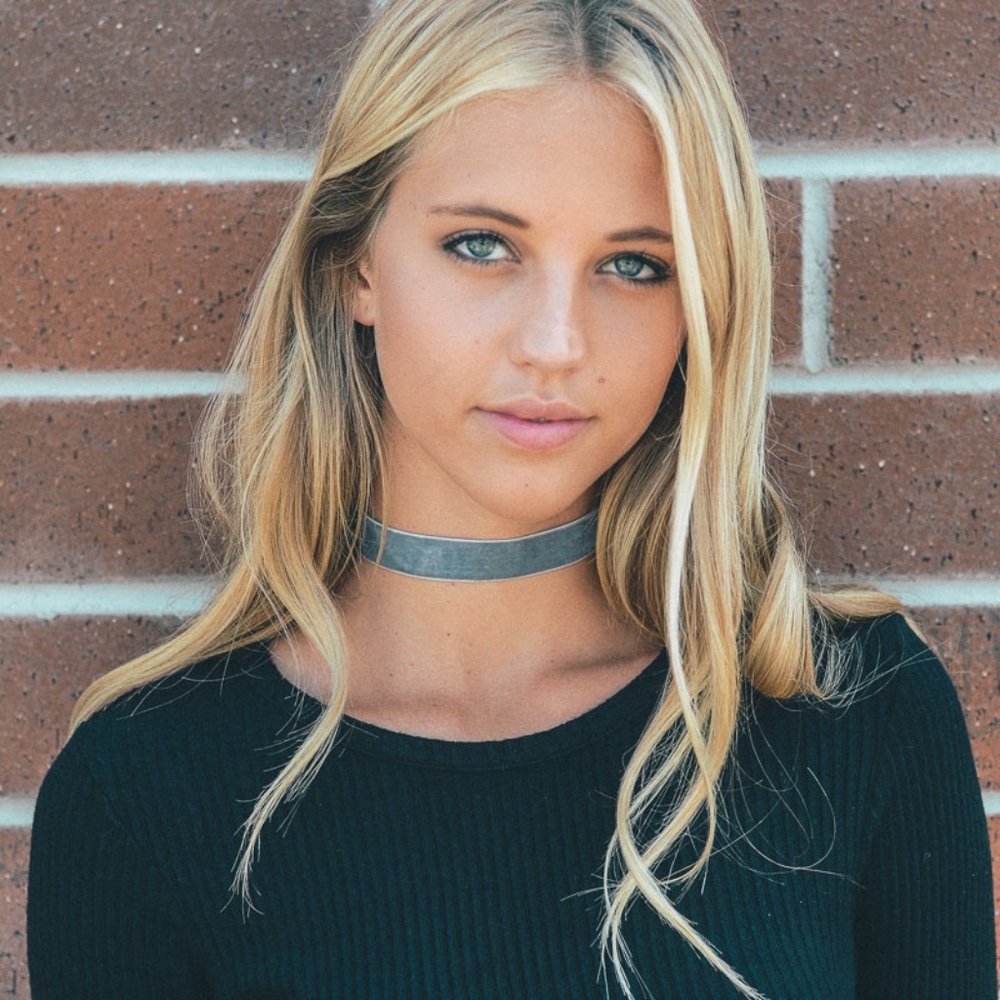 Silver Velvet Choker