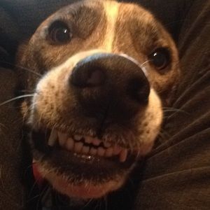 Meet your Posher, Randall