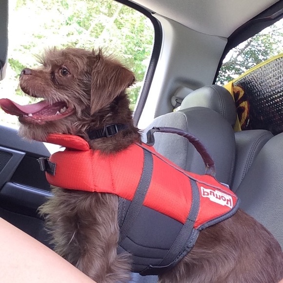 Queen A 💙💫 - Picture 3 of 8