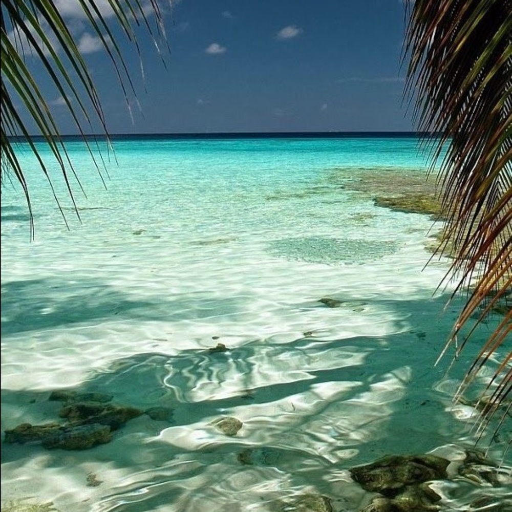 Meet your Posher, Harriet