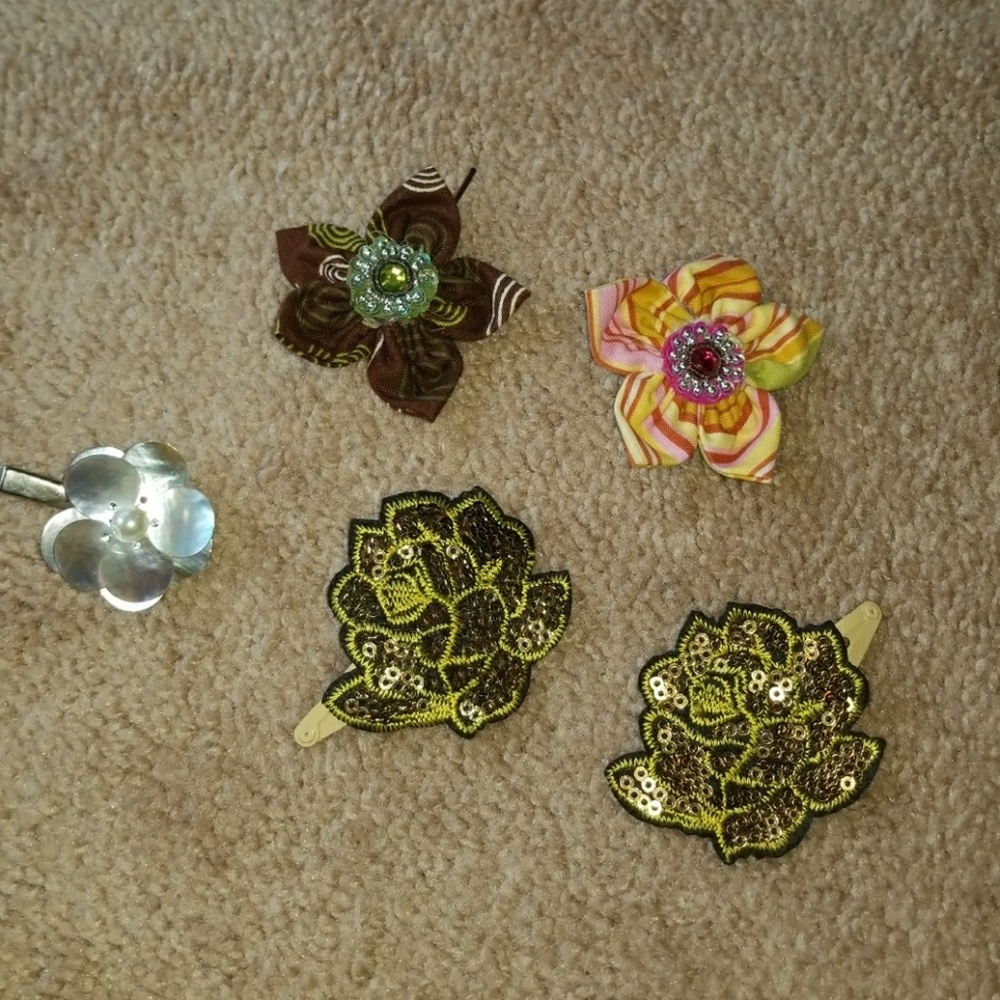 Set of hair clips, barretts