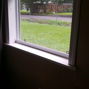 Meet your Posher, Timothy