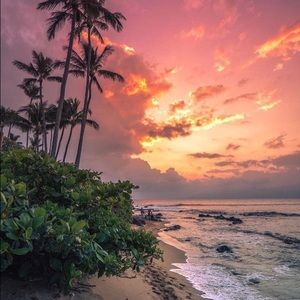 Meet your Posher, Tash