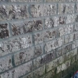 Meet your Posher, Julius