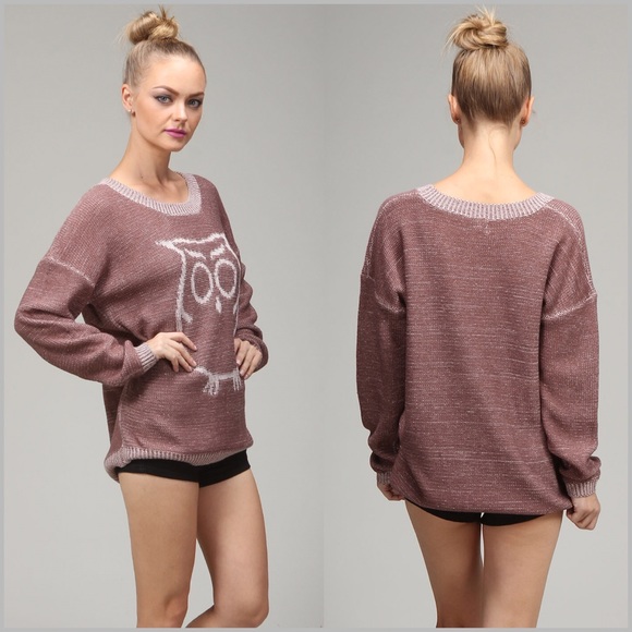 🦉LAST ONE🦉 Mauve Owl Design Sweater - Picture 2 of 4