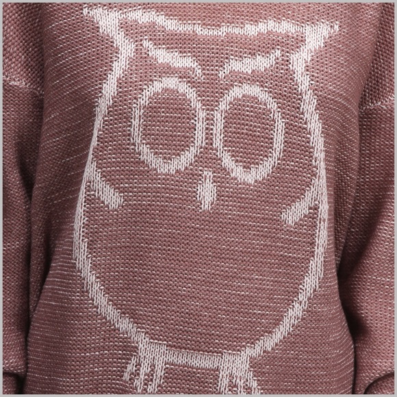 🦉LAST ONE🦉 Mauve Owl Design Sweater - Picture 3 of 4