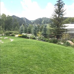 Meet your Posher, Ann