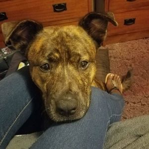 Meet your Posher, Diane