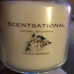 Meet your Posher, Bobby