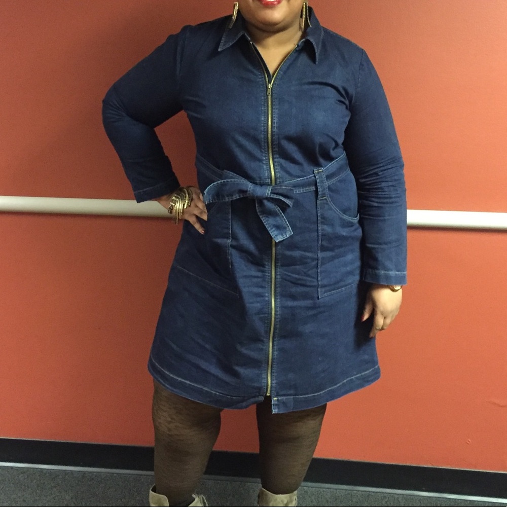 Eloquii, Long sleeve Blue Jean Dress, Size 22