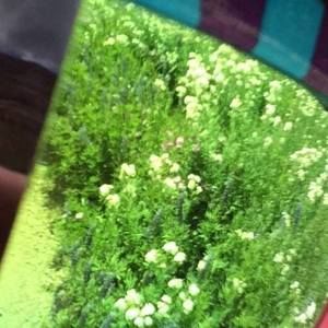 Meet your Posher, Jack