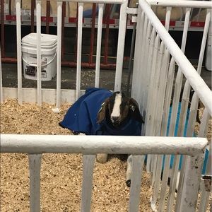 Meet your Posher, Kayla