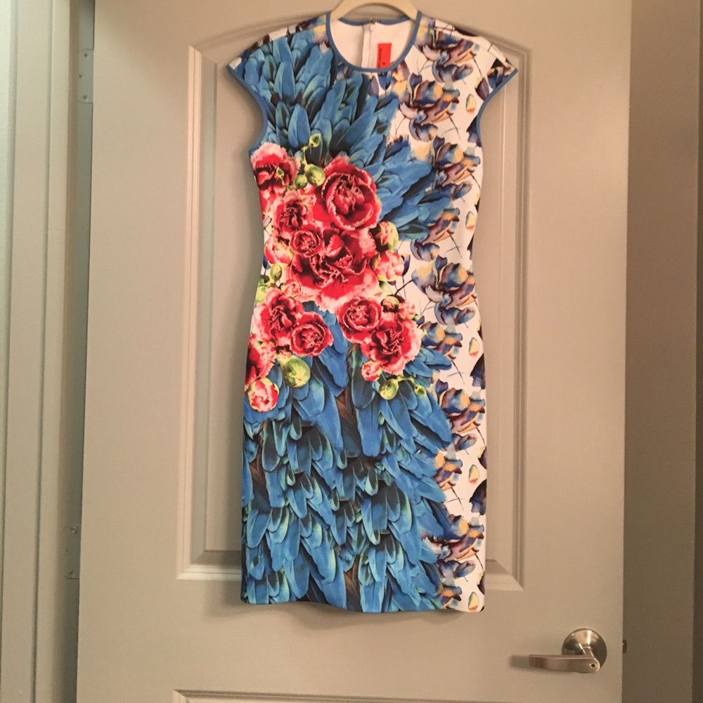 Clover Canyon Scuba Dress