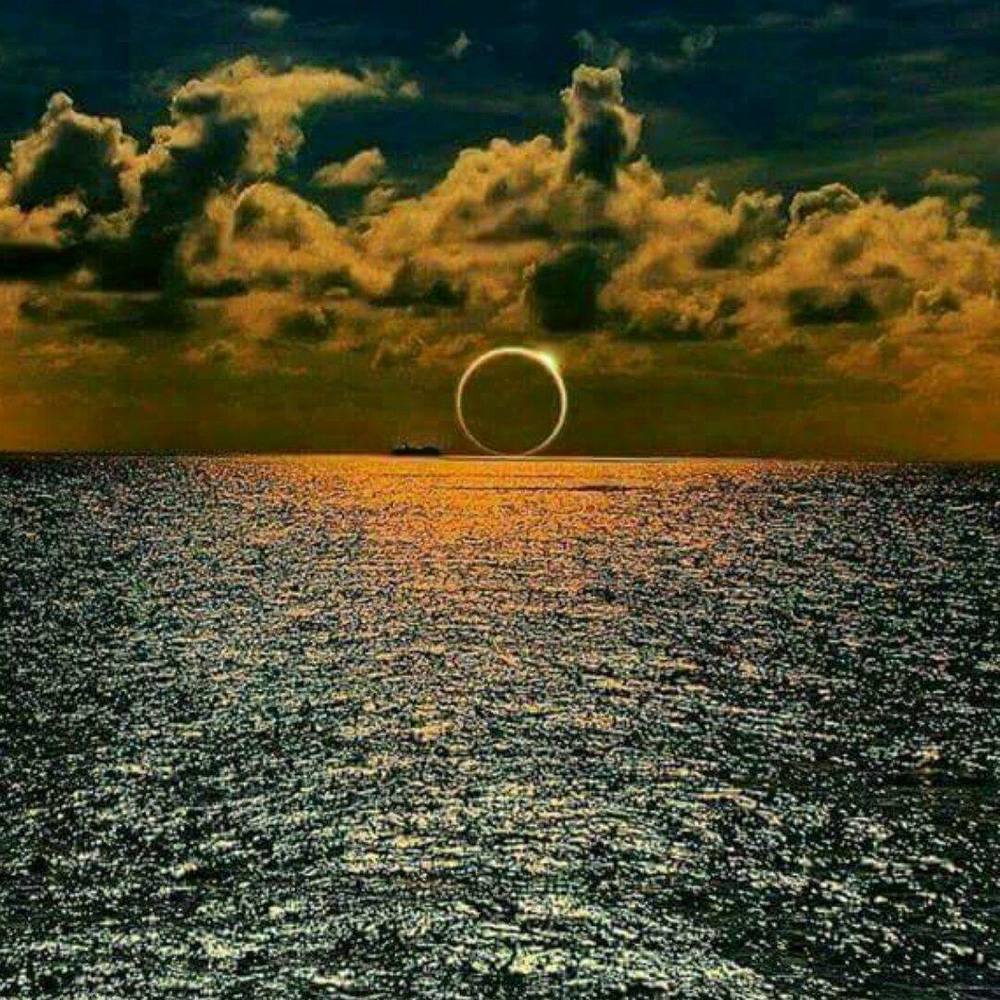 Meet your Posher, Patrice