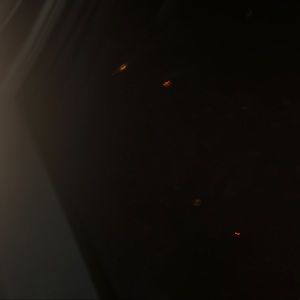 Meet your Posher, Stormy