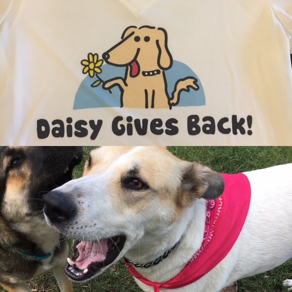 Daisy Gives Back helps shelter pets.