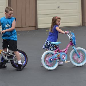 Meet your Posher, Donna