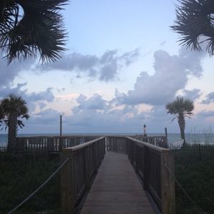 Meet your Posher, Renee brewer