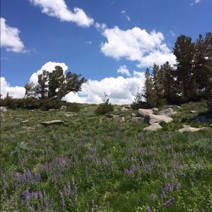 Meet your Posher, Kirin