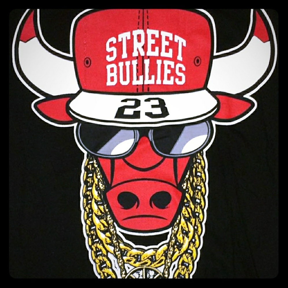 Chicago Bulls (Street Bullies 23)