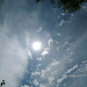 Meet your Posher, Bryce