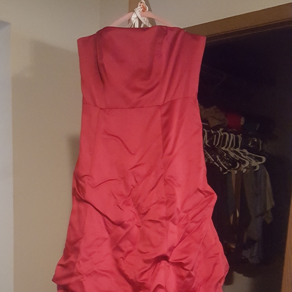 David's bridal Dress size 12 in Apple
