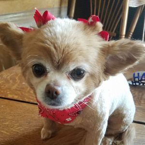 Meet your Posher, Margo