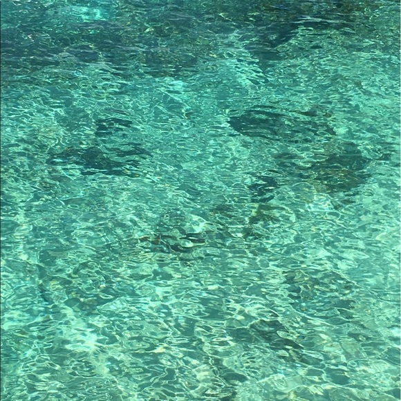 Meet your Posher, Frank - Picture 1 of 1