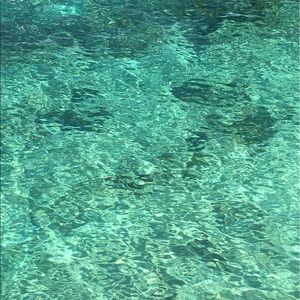 Meet your Posher, Frank