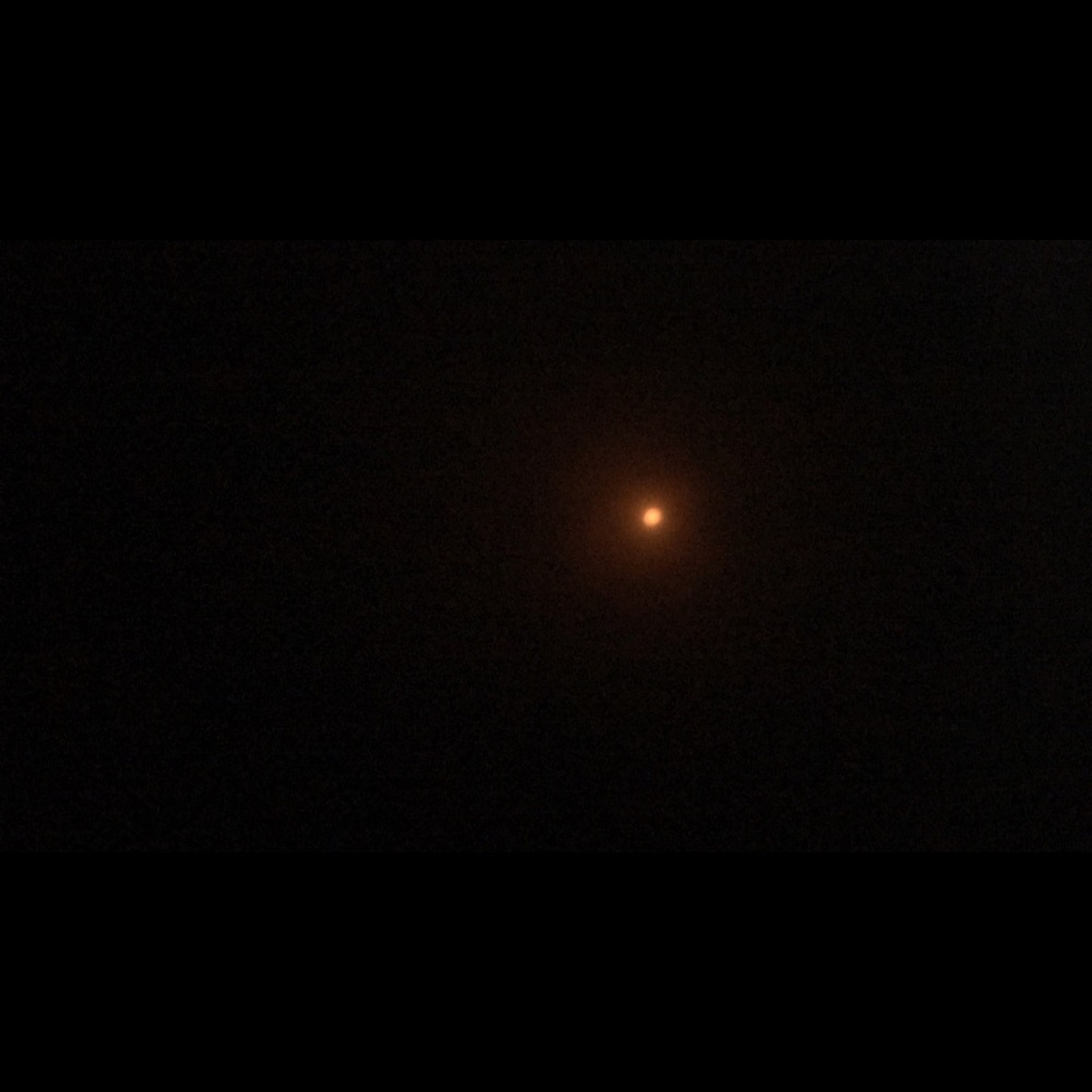 Meet your Posher, Lily