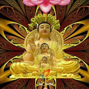 Meet your Posher, Nina