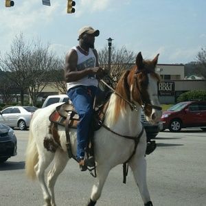 Meet your Posher, Coby