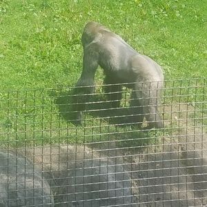 Meet your Posher, Marie