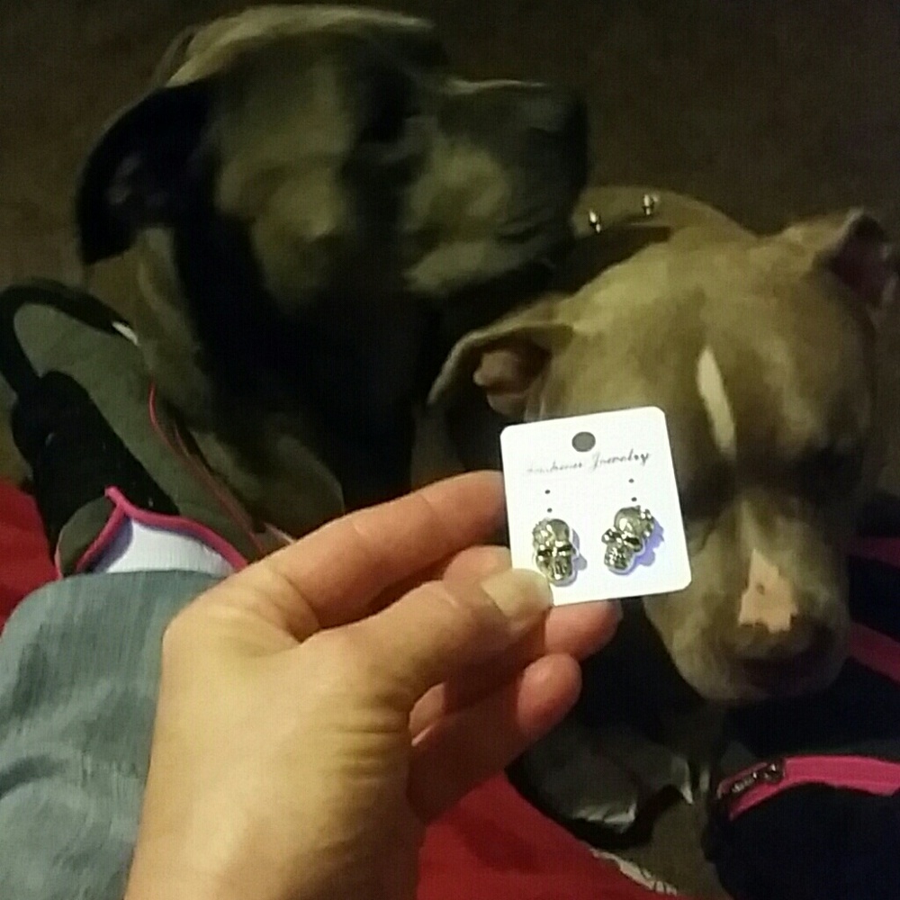 Skull errings