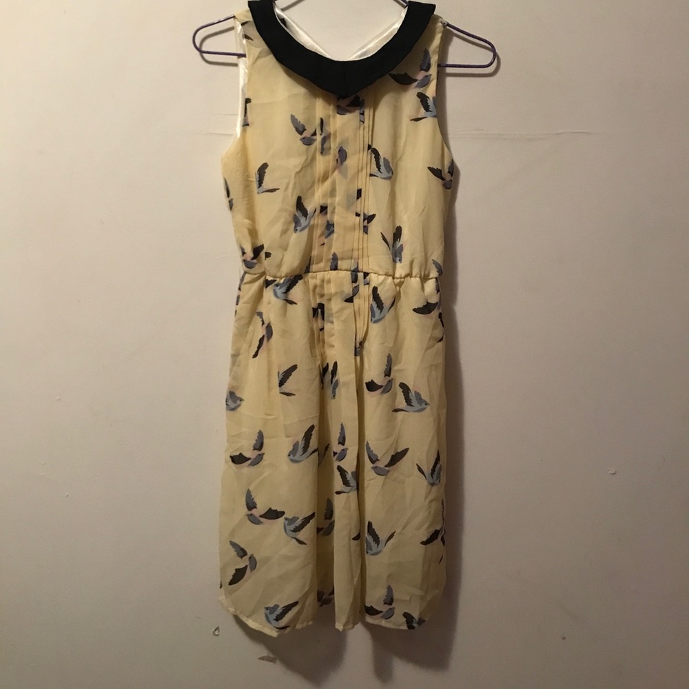 Chiffon dress
