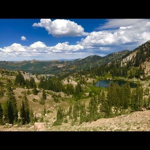 Meet your Posher, Kelley