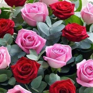 Meet your Posher, Notmadelle