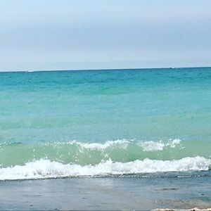 Meet your Posher, Phillip