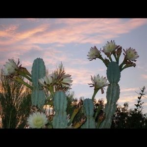 Meet your Posher, Ricki