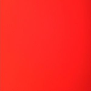 Meet your Posher, Bailey