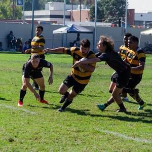 Meet your Posher, Tyler