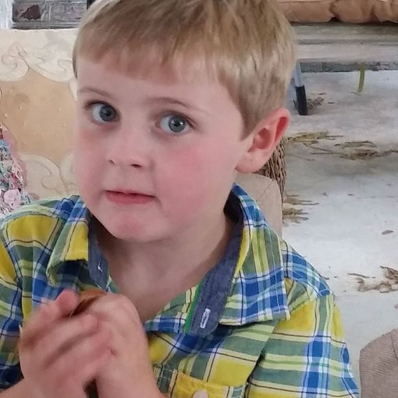 Meet your Posher, Renee - Picture 1 of 1