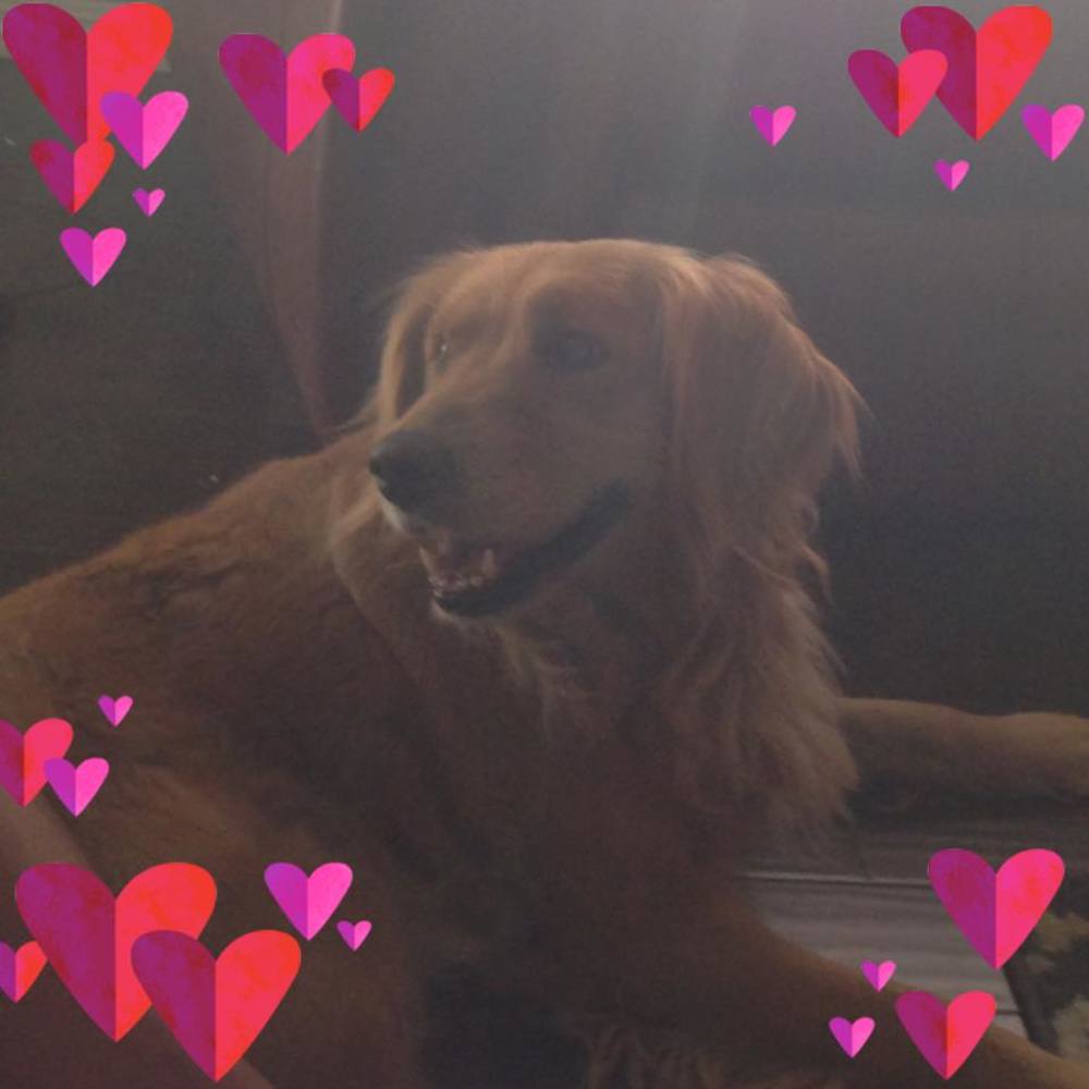 Meet your Posher, Jacqueline