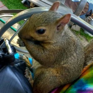 Meet your Posher, Dana