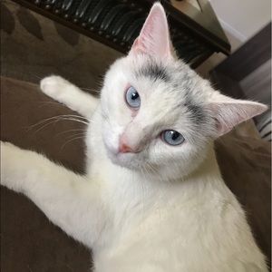 Meet your Posher, Kelsey