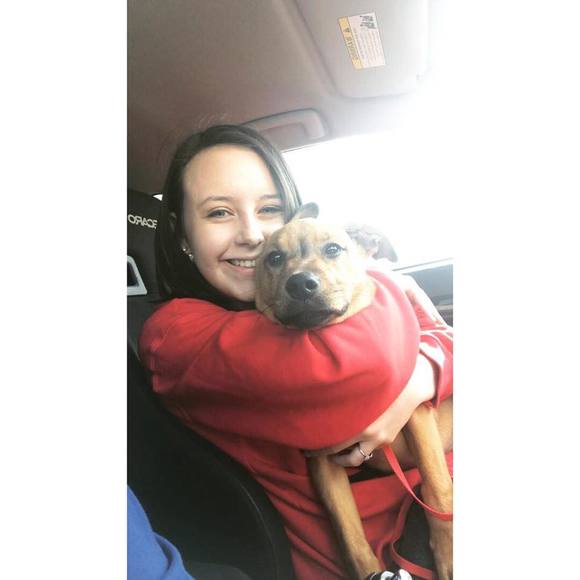 Meet your Posher, Bailey - Picture 1 of 1