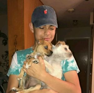 Meet your Posher, Frank