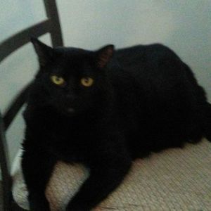 Meet your Posher, Carmen