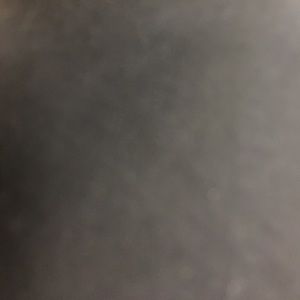 Meet your Posher, Shamika