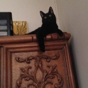 Meet your Posher, Lynn